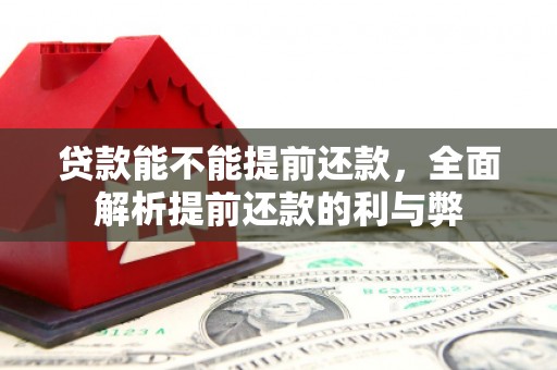宁晋贷款能不能提前还款，全面解析提前还款的利与弊