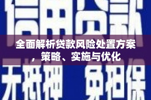 梅列全面解析贷款风险处置方案，策略、实施与优化