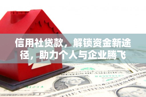 离岛信用社贷款，解锁资金新途径，助力个人与企业腾飞