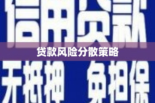 临高贷款风险分散策略