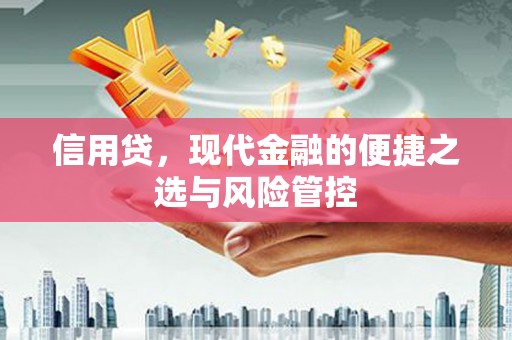嵩县信用贷，现代金融的便捷之选与风险管控