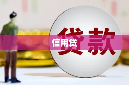 五家渠信用贷