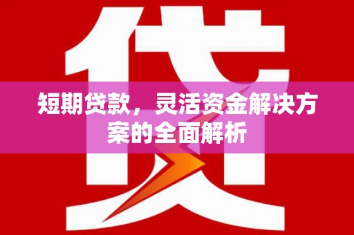 桑植短期贷款，灵活资金解决方案的全面解析