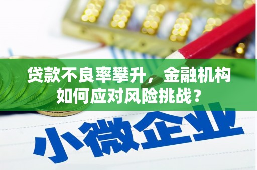 沙湾贷款不良率攀升，金融机构如何应对风险挑战？