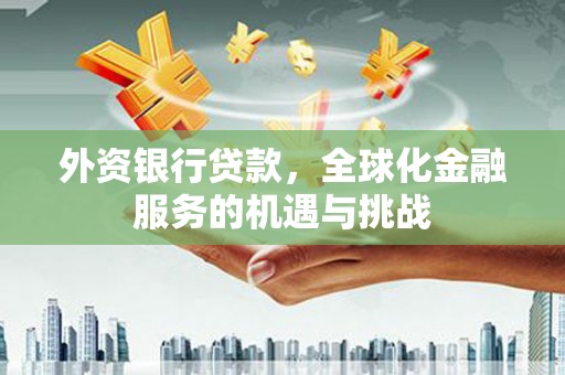 临高外资银行贷款，全球化金融服务的机遇与挑战