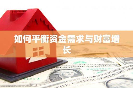 邵阳如何平衡资金需求与财富增长