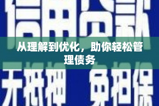 沙洋从理解到优化，助你轻松管理债务