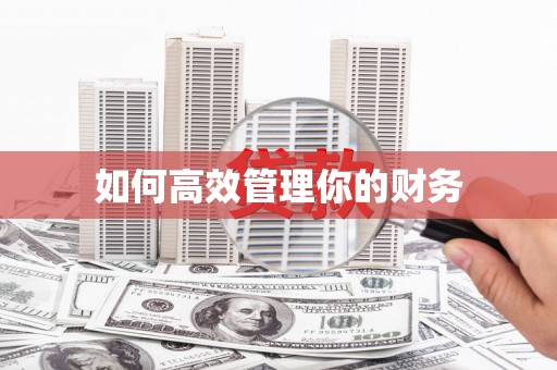 彝良如何高效管理你的财务