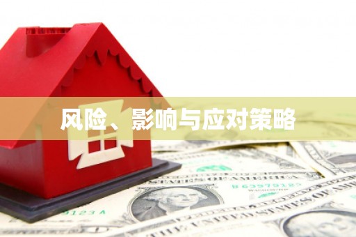 竹南风险、影响与应对策略