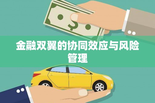 宣威金融双翼的协同效应与风险管理