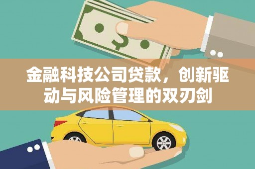 东乡族金融科技公司贷款，创新驱动与风险管理的双刃剑